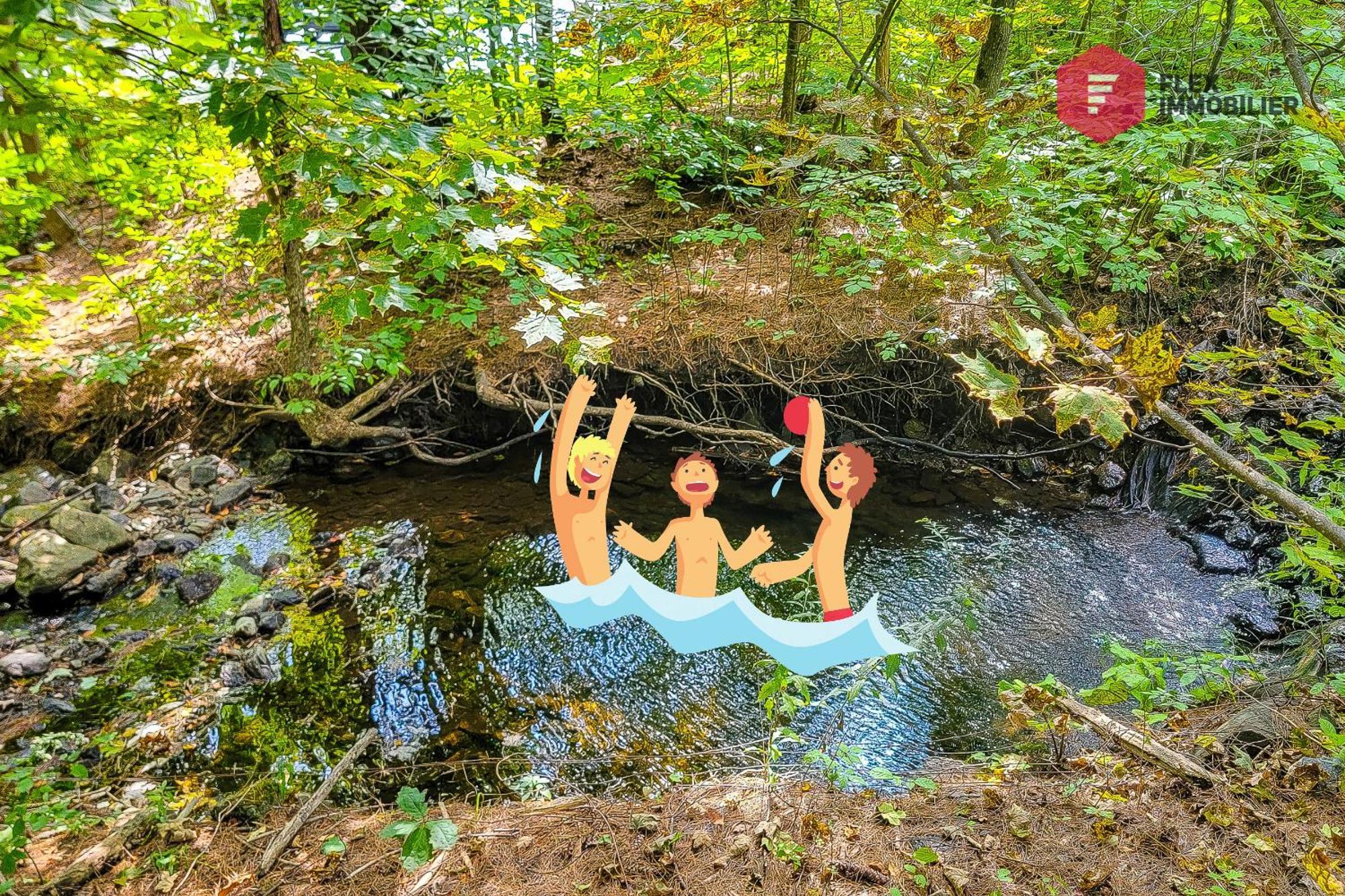 L'Arbre De La Montagne Orford - Ski Hiking Bicking Golf Beaches Magog Kültér fotó